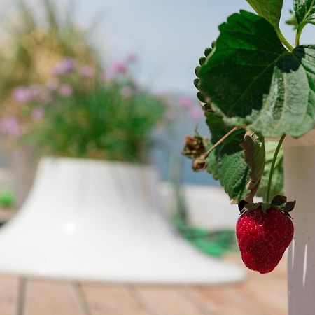 Dreamy Aegean View Διαμέρισμα Αθήνα Εξωτερικό φωτογραφία