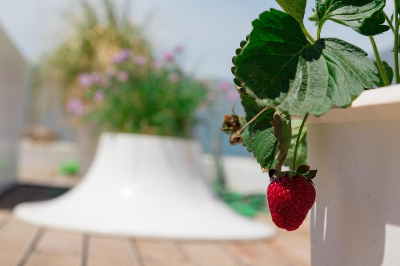 Dreamy Aegean View Διαμέρισμα Αθήνα Εξωτερικό φωτογραφία
